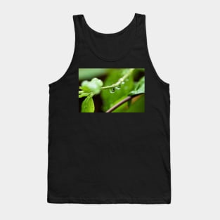 Shiny dew drop with image of a leaf Tank Top